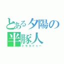 とある夕陽の半豚人（トモカドゥー）