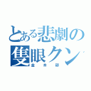 とある悲劇の隻眼クン。（金 木 研）