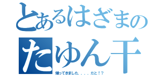 とあるはざまのたゆん干し（帰ってきました．．．．だと！？）