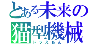 とある未来の猫型機械（ドラえもん）