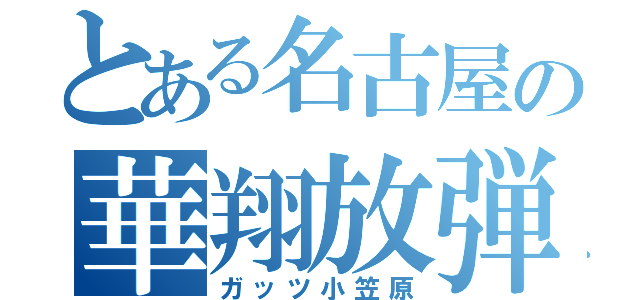 とある名古屋の華翔放弾（ガッツ小笠原）