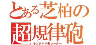 とある芝柏の超規律砲（キソクハマモレーター）