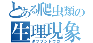 とある爬虫類の生理現象（ダップンドウガ）