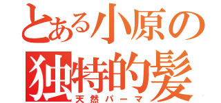 とある小原の独特的髪型（天然パーマ）