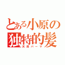 とある小原の独特的髪型（天然パーマ）