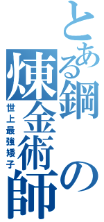 とある鋼の煉金術師Ⅱ（世上最強矮子）