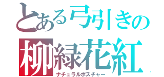 とある弓引きの柳緑花紅（ナチュラルポスチャー）