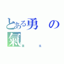 とある勇の氣（重生）