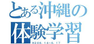 とある沖縄の体験学習（Ｈ２４６，１４～６，１７）