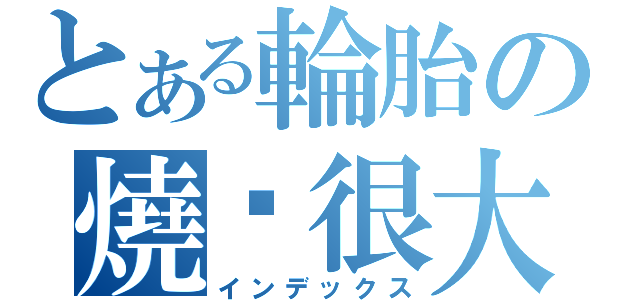 とある輪胎の燒尛很大（インデックス）