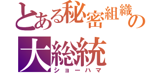 とある秘密組織の大総統（ショーハマ）