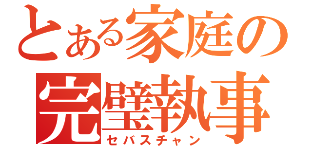 とある家庭の完璧執事（セバスチャン）