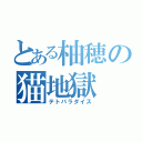 とある柚穂の猫地獄（テトパラダイス）