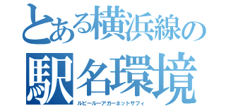 とある横浜線の駅名環境（ルビールーアガーネットサフィ）