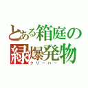 とある箱庭の緑爆発物（クリーパー）