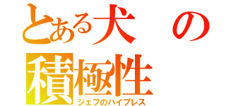 とある犬の積極性（ジェフのハイプレス）