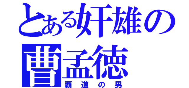 とある奸雄の曹孟徳（覇道の男）