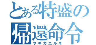 とある特盛の帰還命令（サキカエルネ）