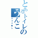 とあるトイレのうんこ（スゴク臭し）