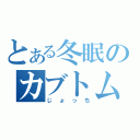 とある冬眠のカブトムシ（じょっち）