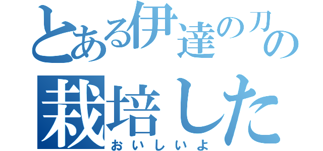 とある伊達の刀の栽培したトマト（おいしいよ）