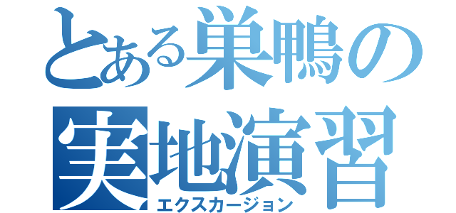 とある巣鴨の実地演習（エクスカージョン）