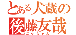 とある犬蔵の後藤友哉（ごっちゃん）