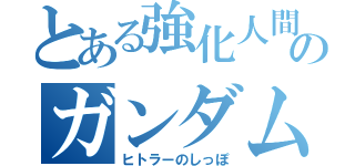 とある強化人間のガンダムは敵（ヒトラーのしっぽ）