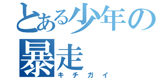 とある少年の暴走（キチガイ）