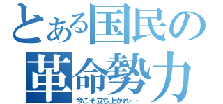 とある国民の革命勢力（今こそ立ち上がれ・・）