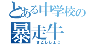 とある中学校の暴走牛（ さごししょう）