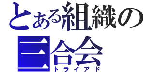 とある組織の三合会（トライアド）