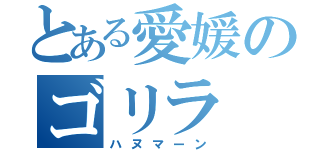 とある愛媛のゴリラ（ハヌマーン）