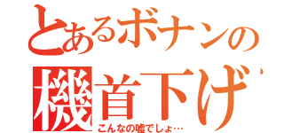 とあるボナンの機首下げ（こんなの嘘でしょ…）