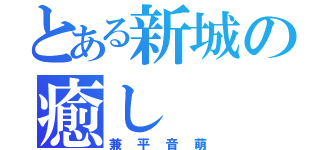 とある新城の癒し（兼平音萌）