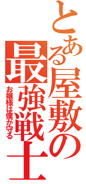 とある屋敷の最強戦士（お嬢様は僕が守る）