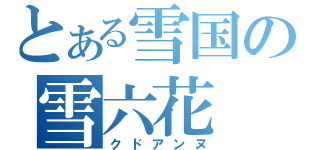 とある雪国の雪六花（クドアンヌ）