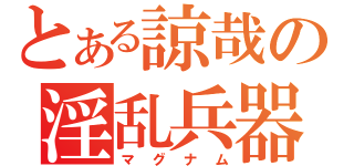 とある諒哉の淫乱兵器（マグナム）