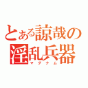 とある諒哉の淫乱兵器（マグナム）