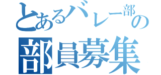 とあるバレー部の部員募集（）