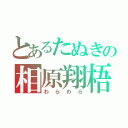 とあるたぬきの相原翔梧（わらわら）