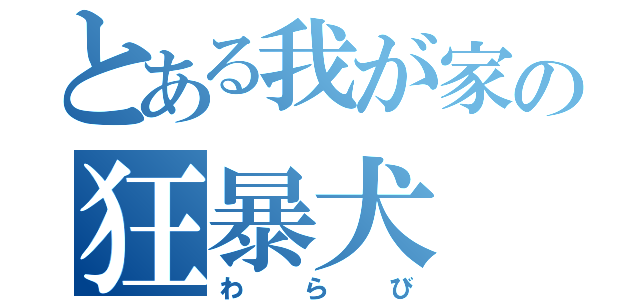 とある我が家の狂暴犬（わらび）