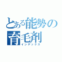 とある能勢の育毛剤（インデックス）