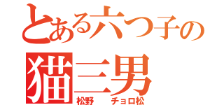 とある六つ子の猫三男（松野  チョロ松）