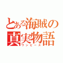 とある海賊の真実物語（ワンピース）