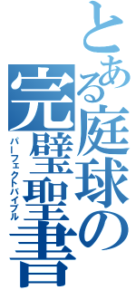 とある庭球の完璧聖書（パーフェクトバイブル）