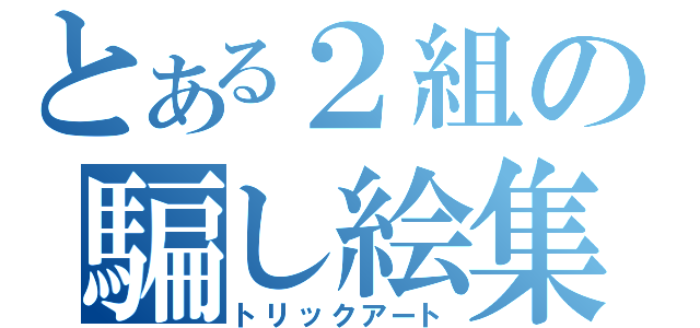 とある２組の騙し絵集　　（トリックアート）