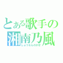 とある歌手の湘南乃風（しょうなんのかぜ）