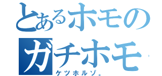 とあるホモのガチホモ発言（ケツホルゾ。）