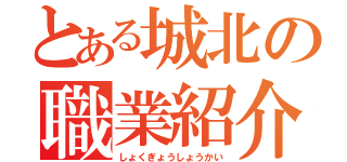 とある城北の職業紹介（しょくぎょうしょうかい）